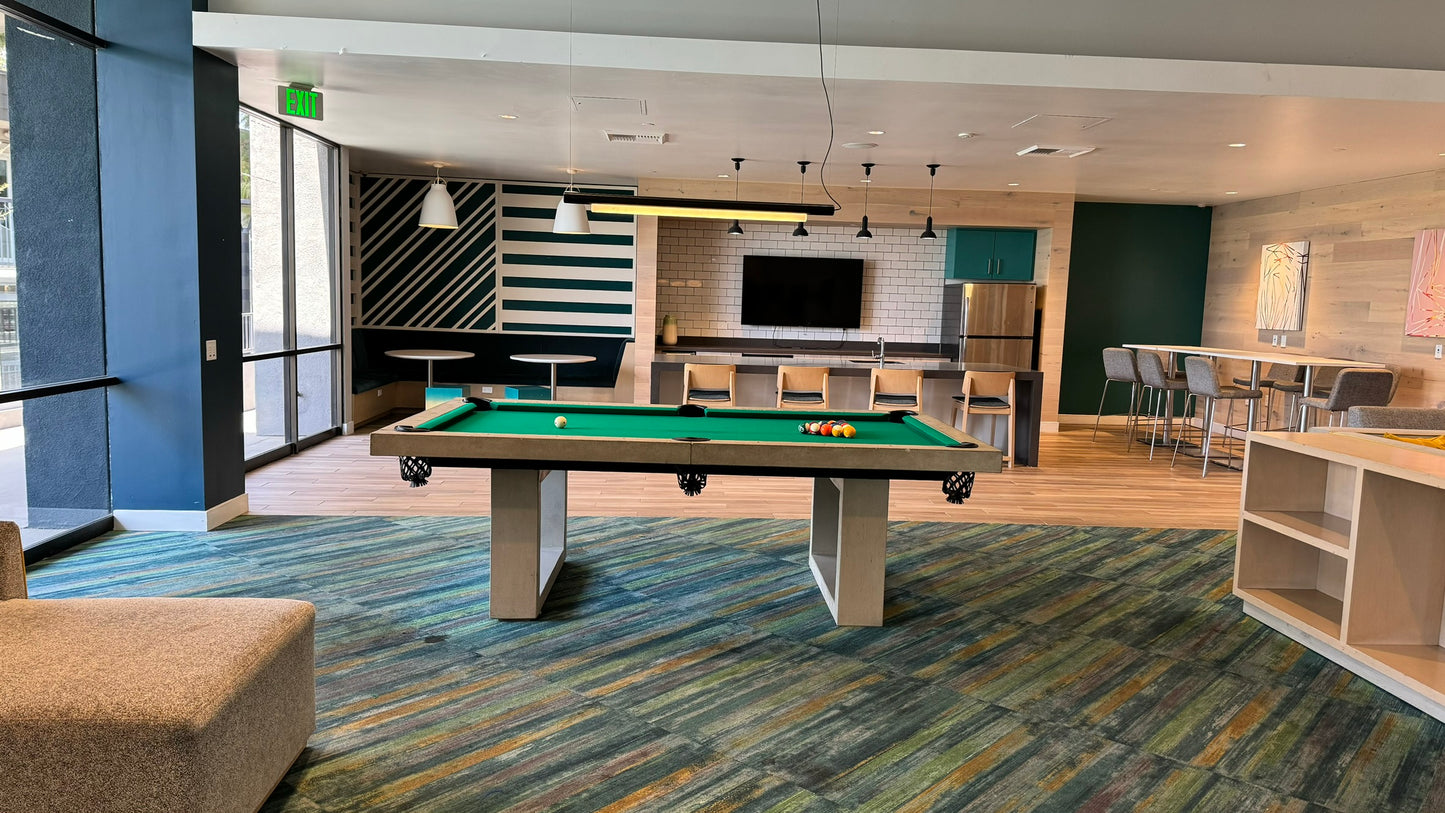 Passion Concrete Pool Table
