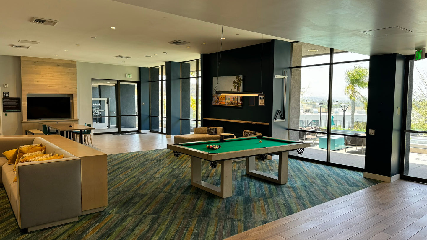 Passion Concrete Pool Table