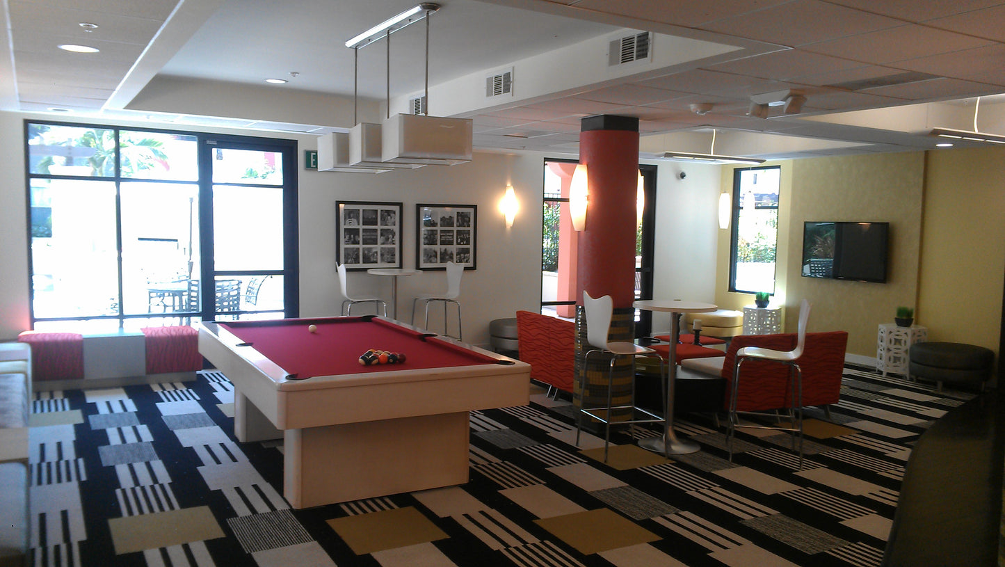 Florida Modern Pool Table